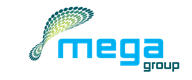 MegaGroup