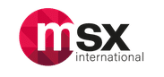 MSX International Group 